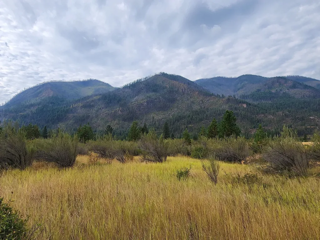 Lot 3 Harbine Ranch Road Plains MT 59859