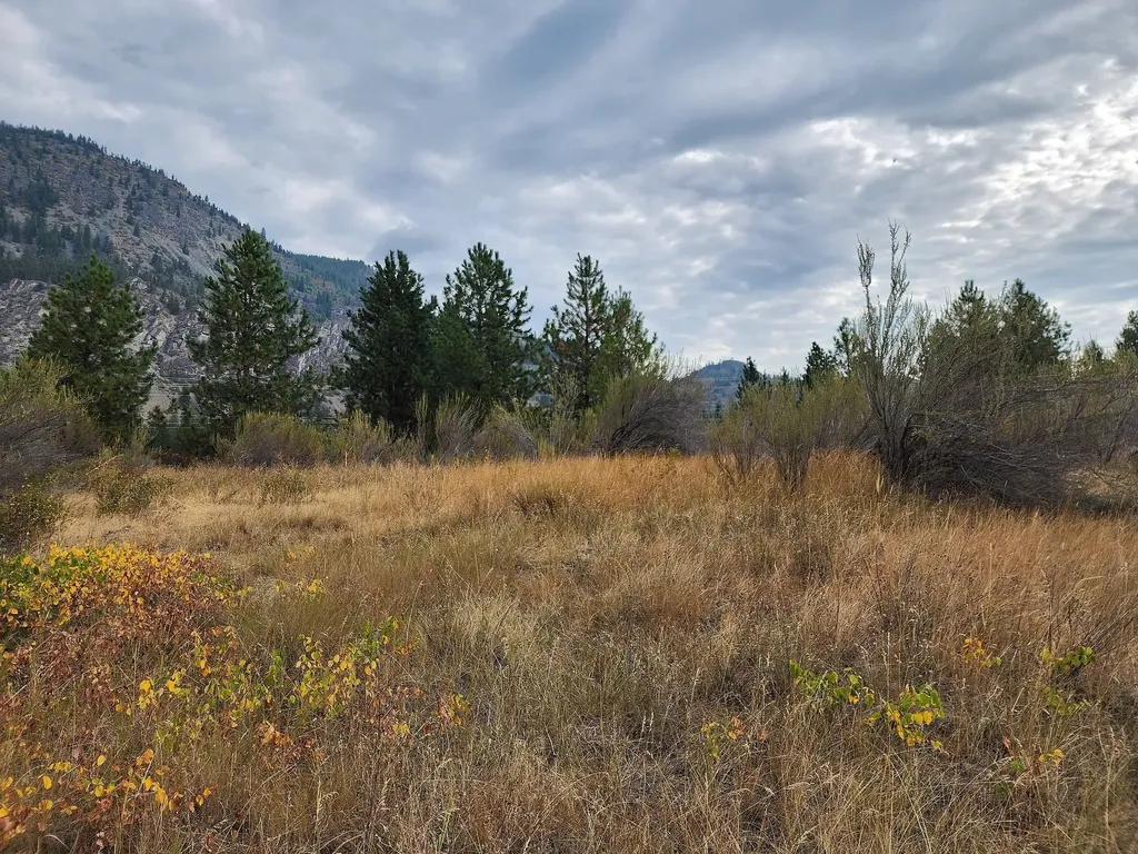 Lot 3 Harbine Ranch Road Plains MT 59859