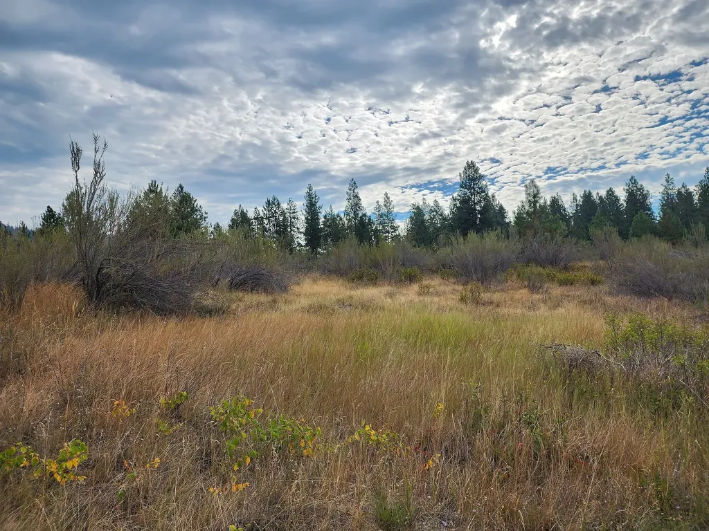 Lot 3 Harbine Ranch Road Plains MT 59859