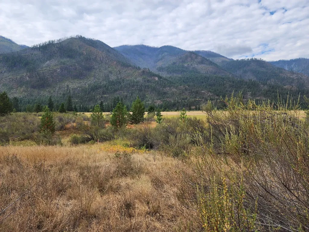 Lot 3 Harbine Ranch Road Plains MT 59859
