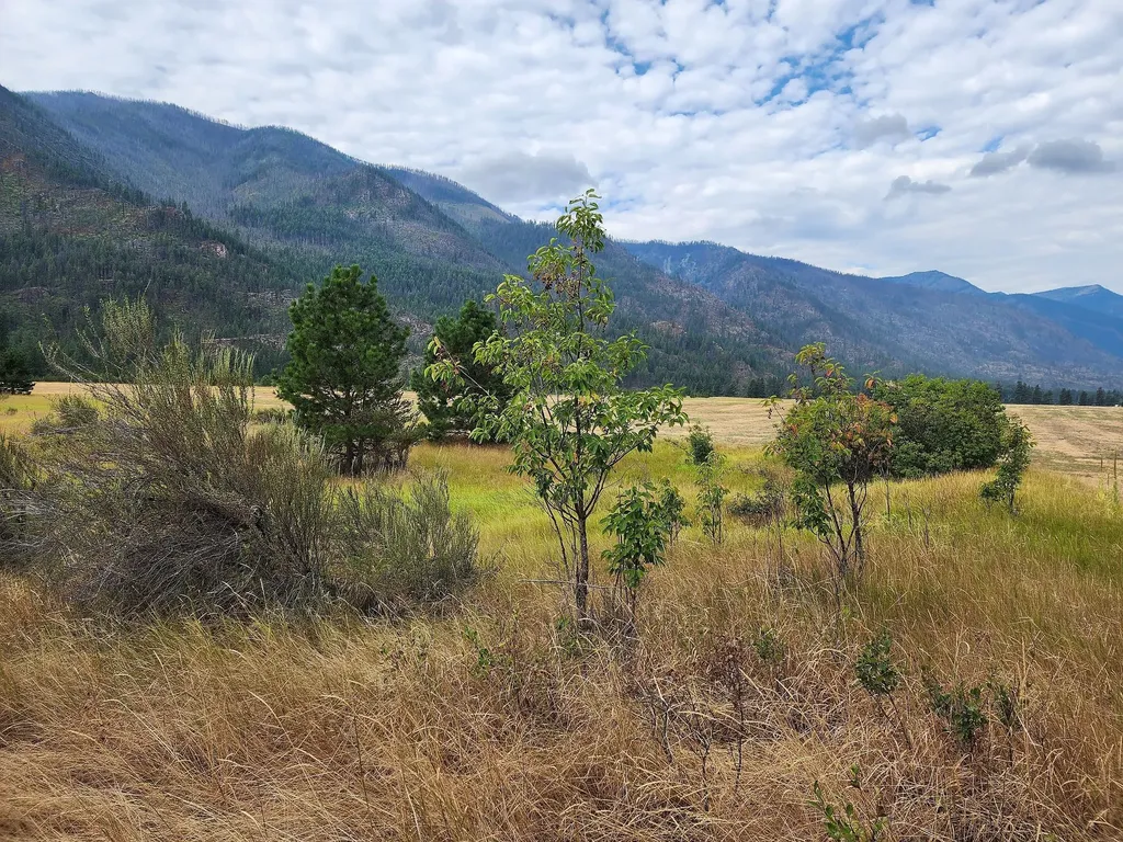 Lot 3 Harbine Ranch Road Plains MT 59859