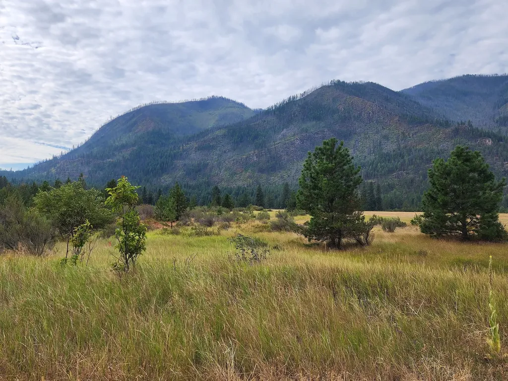 Lot 3 Harbine Ranch Road Plains MT 59859