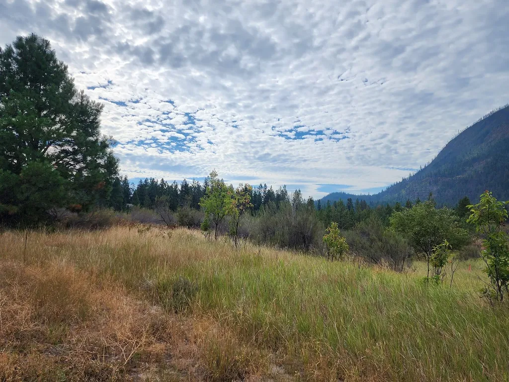 Lot 3 Harbine Ranch Road Plains MT 59859