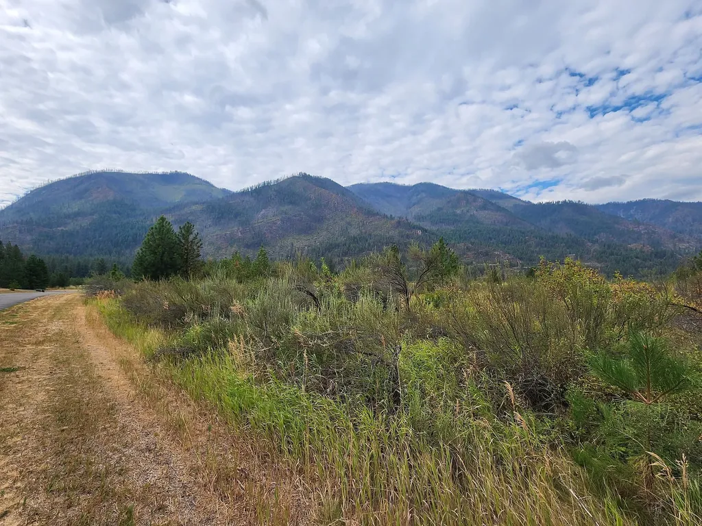 Lot 3 Harbine Ranch Road Plains MT 59859