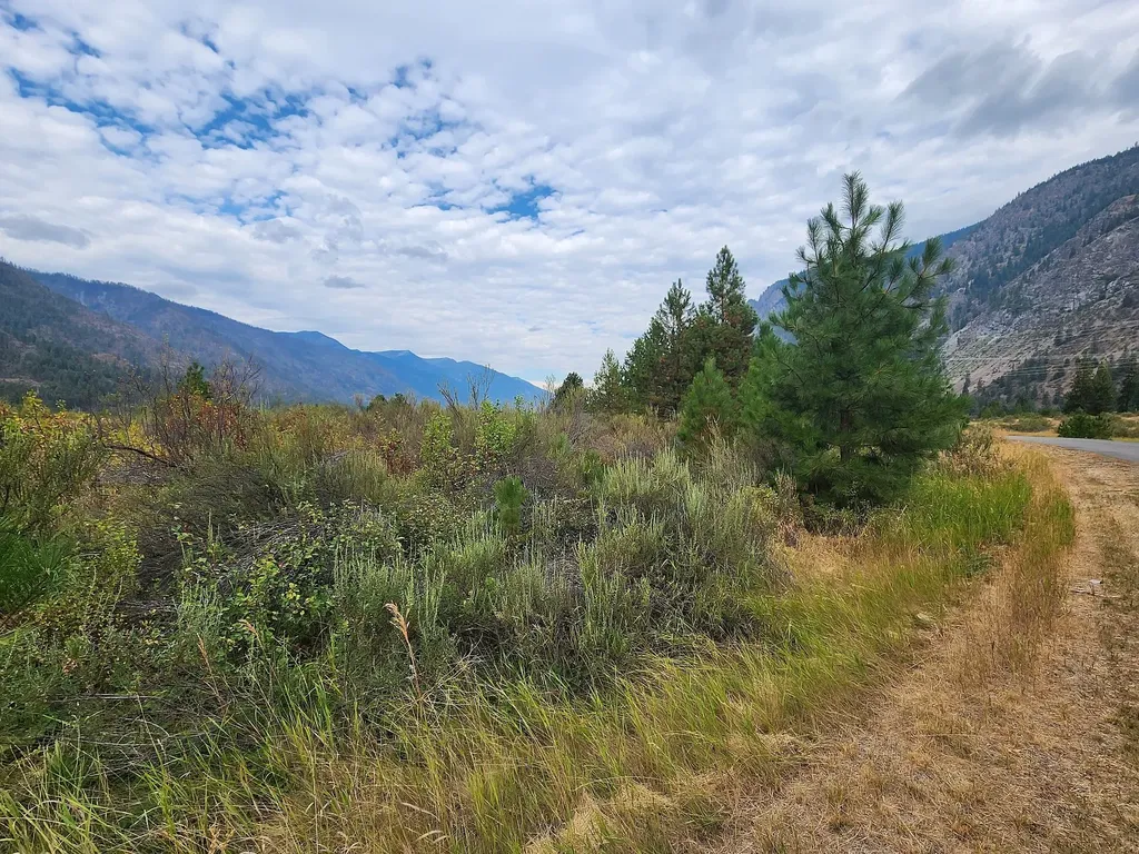 Lot 3 Harbine Ranch Road Plains MT 59859