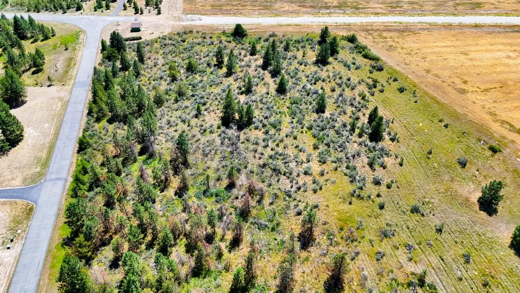 Lot 3 Harbine Ranch Road Plains MT 59859