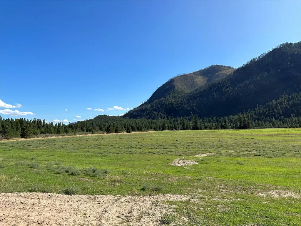 Lot 5 Harbine Ranch Road Plains MT 59859