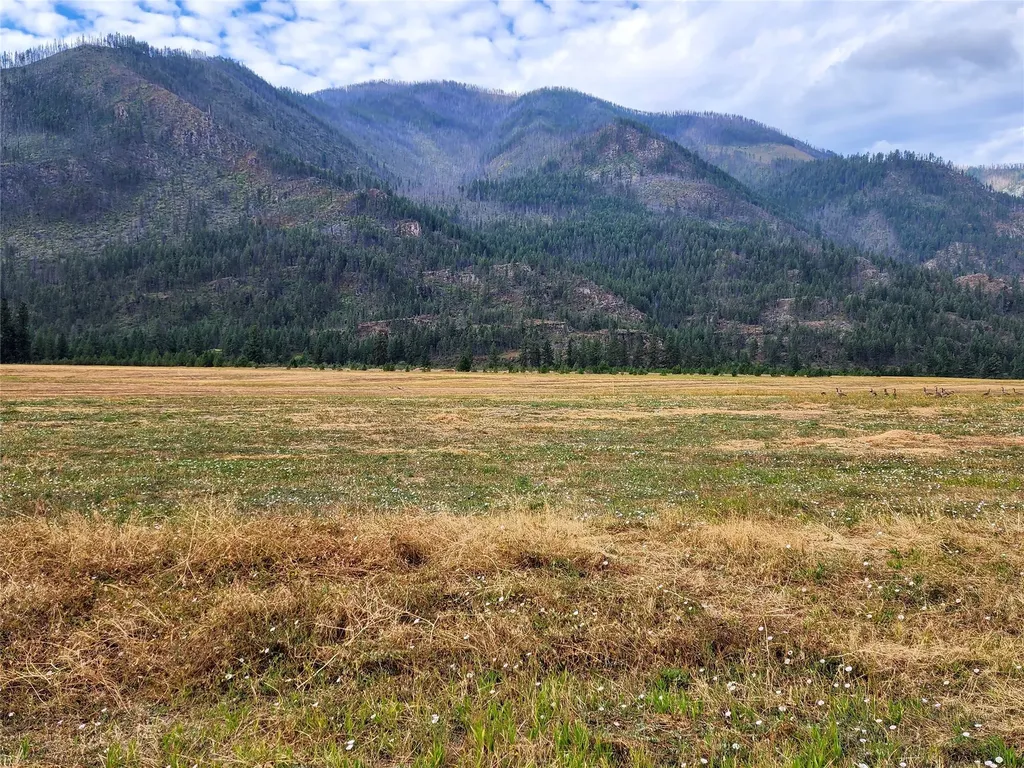 Lot 5 Harbine Ranch Road Plains MT 59859