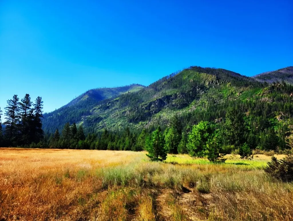 Lot 4 Harbine Ranch Road Plains MT 59859