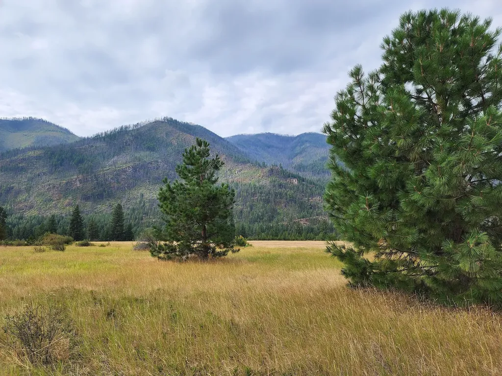 Lot 4 Harbine Ranch Road Plains MT 59859