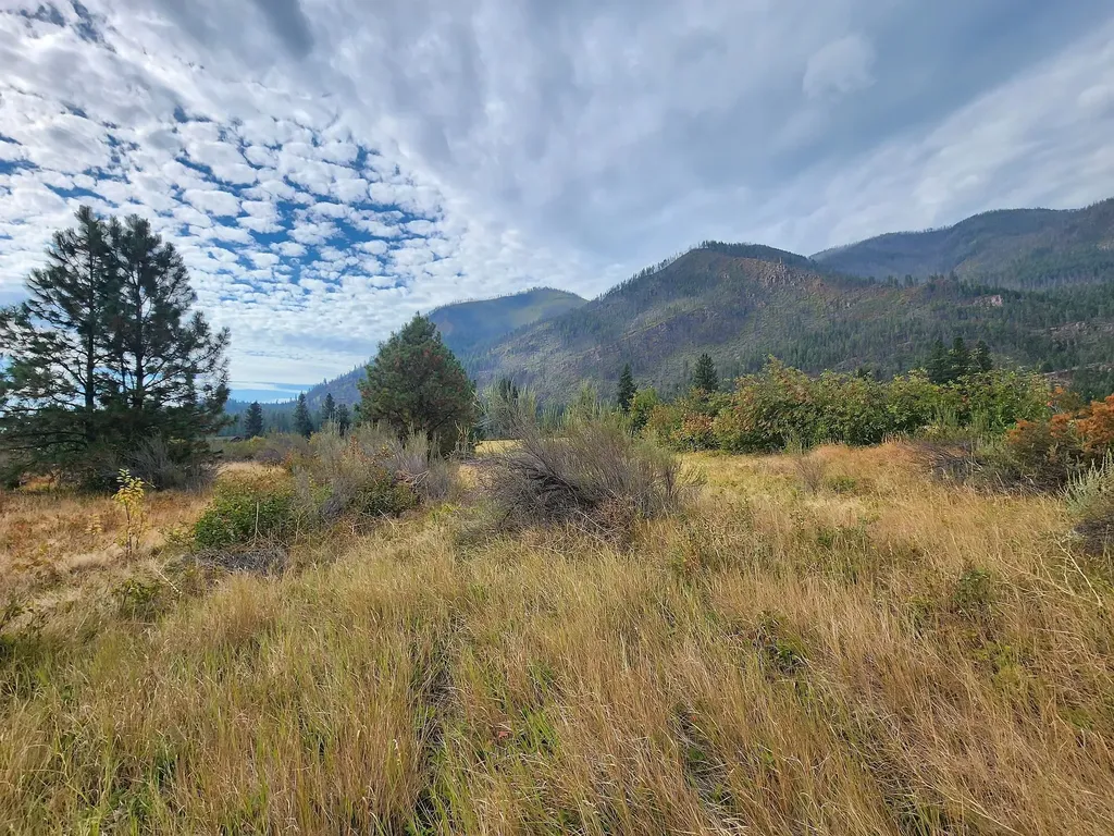 Lot 4 Harbine Ranch Road Plains MT 59859