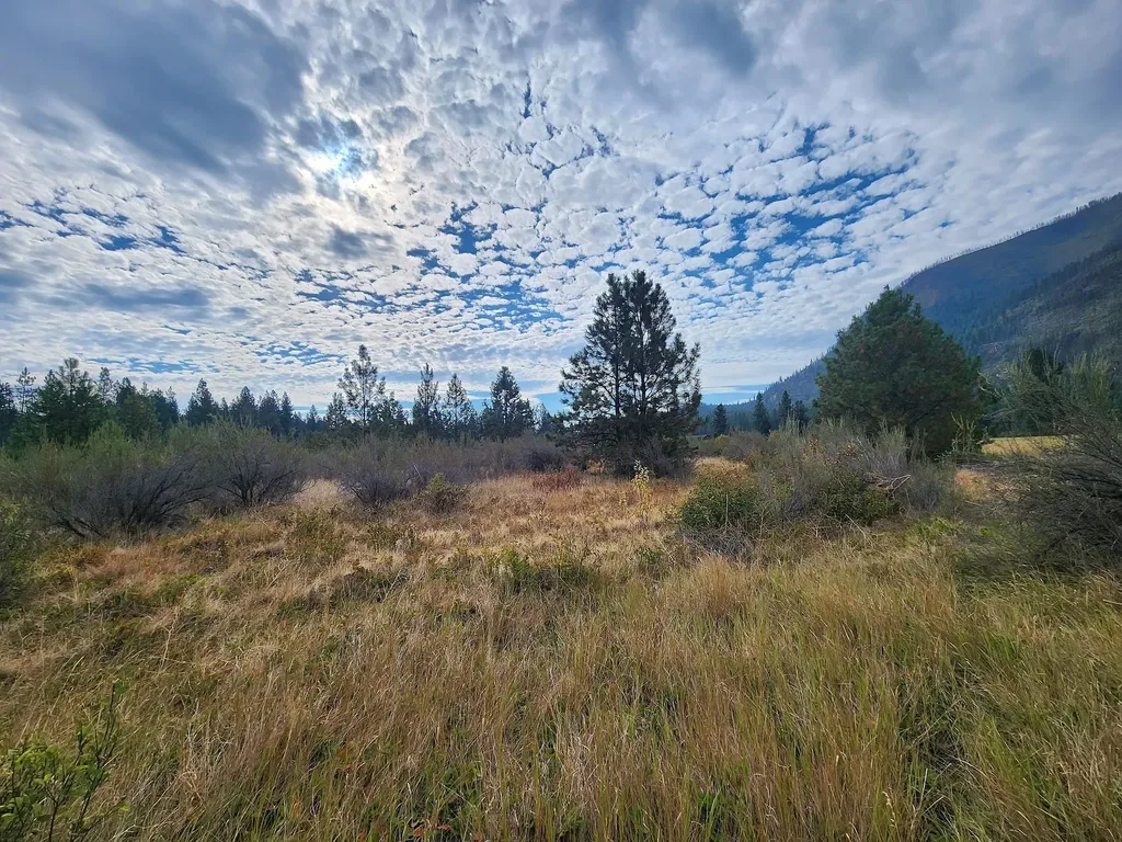 Lot 4 Harbine Ranch Road Plains MT 59859