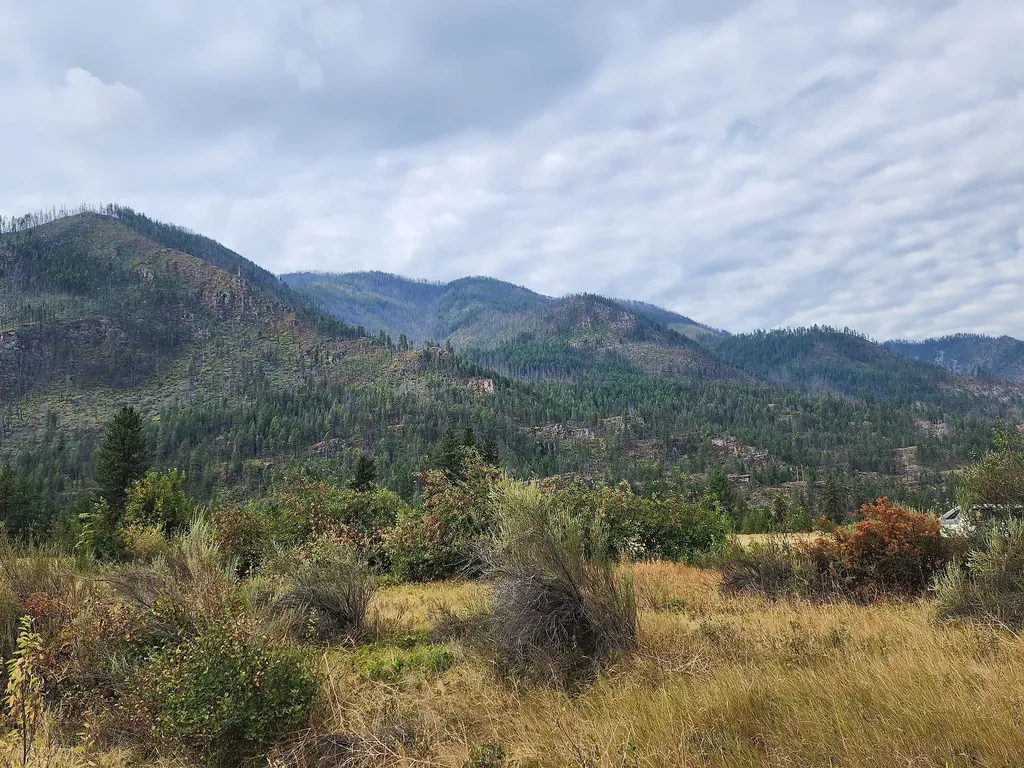 Lot 4 Harbine Ranch Road Plains MT 59859