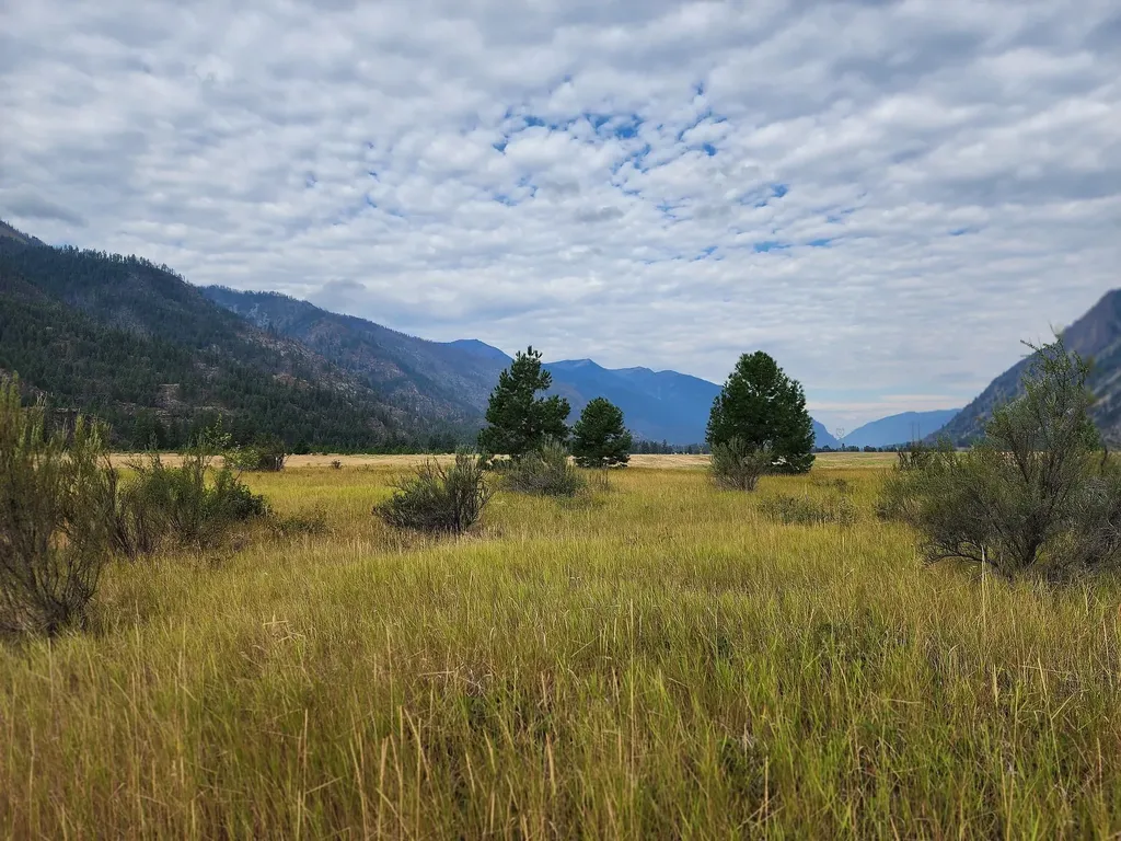 Lot 4 Harbine Ranch Road Plains MT 59859