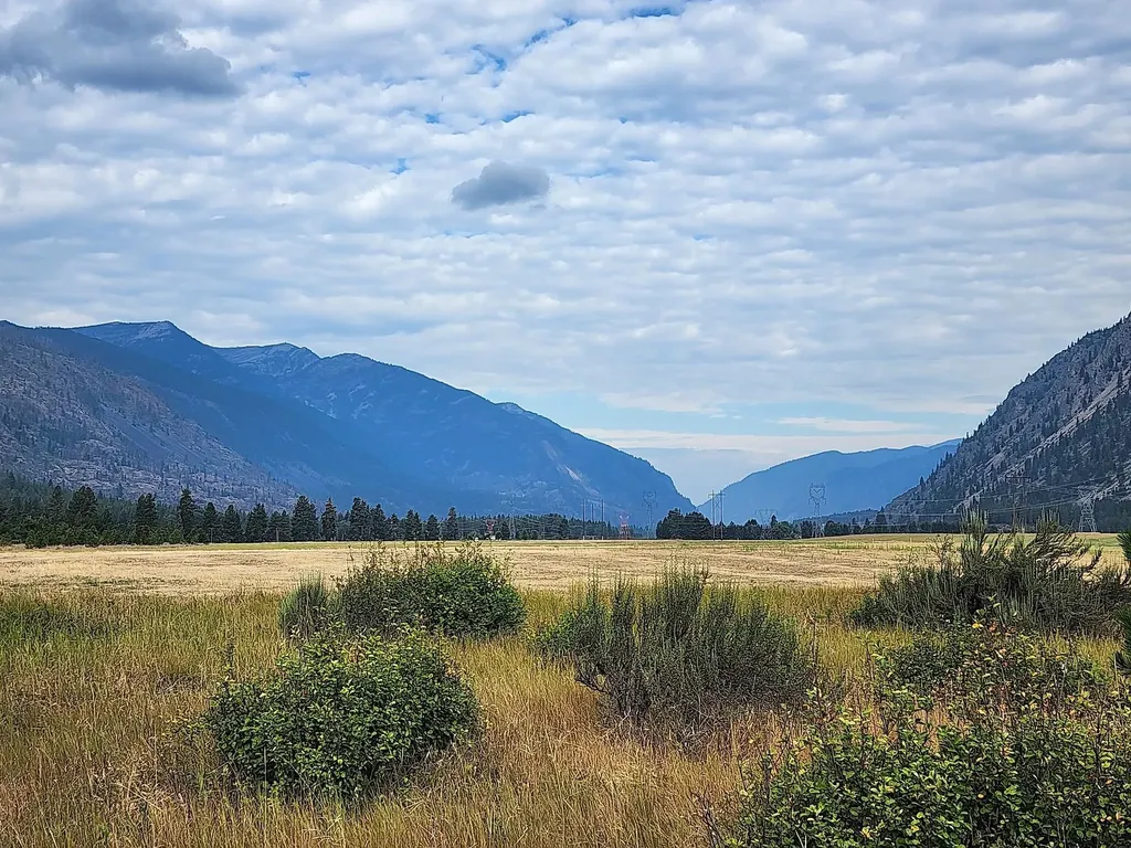 Lot 4 Harbine Ranch Road Plains MT 59859