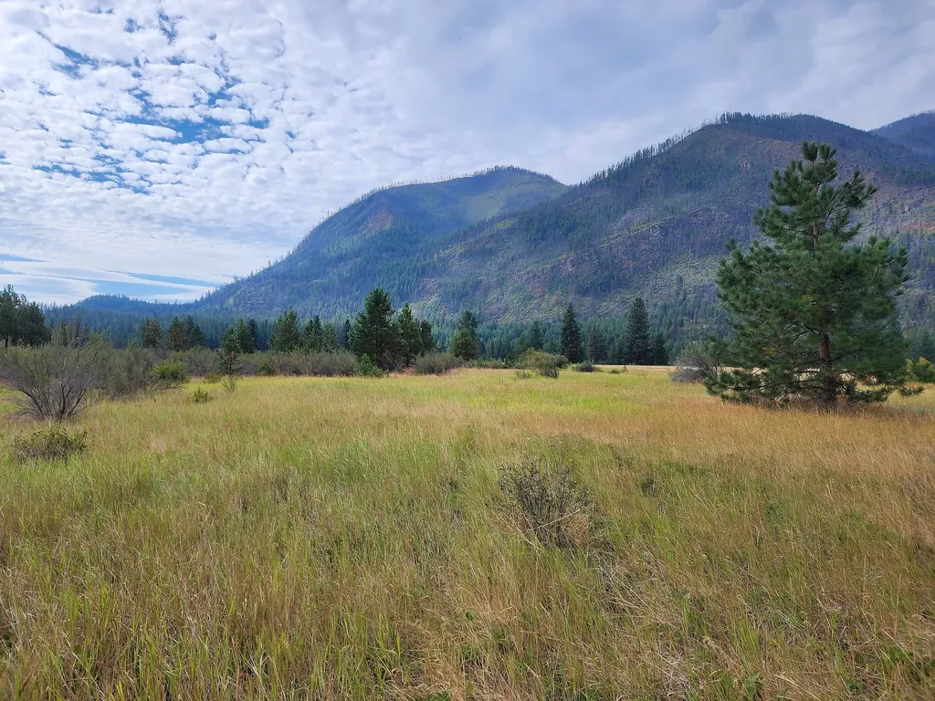 Lot 4 Harbine Ranch Road Plains MT 59859