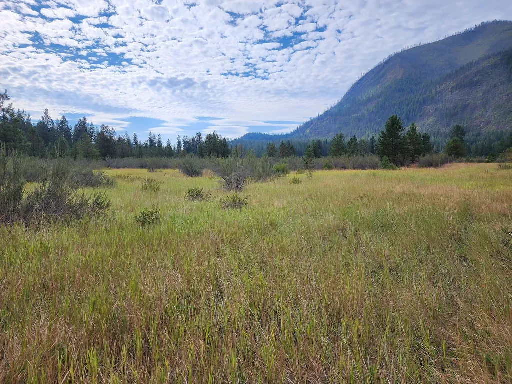 Lot 4 Harbine Ranch Road Plains MT 59859