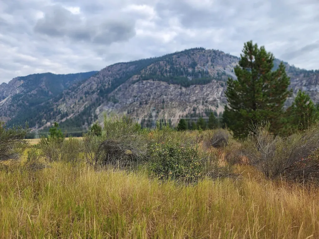 Lot 4 Harbine Ranch Road Plains MT 59859