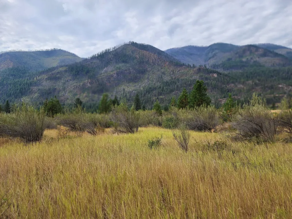 Lot 4 Harbine Ranch Road Plains MT 59859