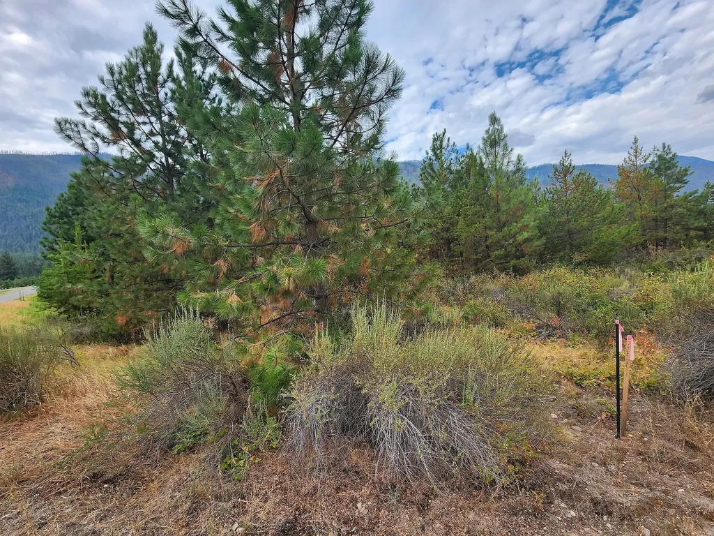 Lot 4 Harbine Ranch Road Plains MT 59859