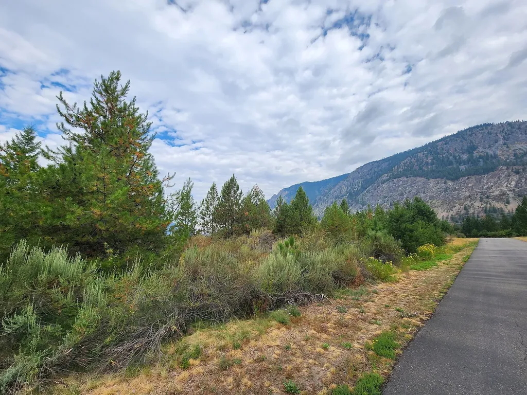 Lot 4 Harbine Ranch Road Plains MT 59859