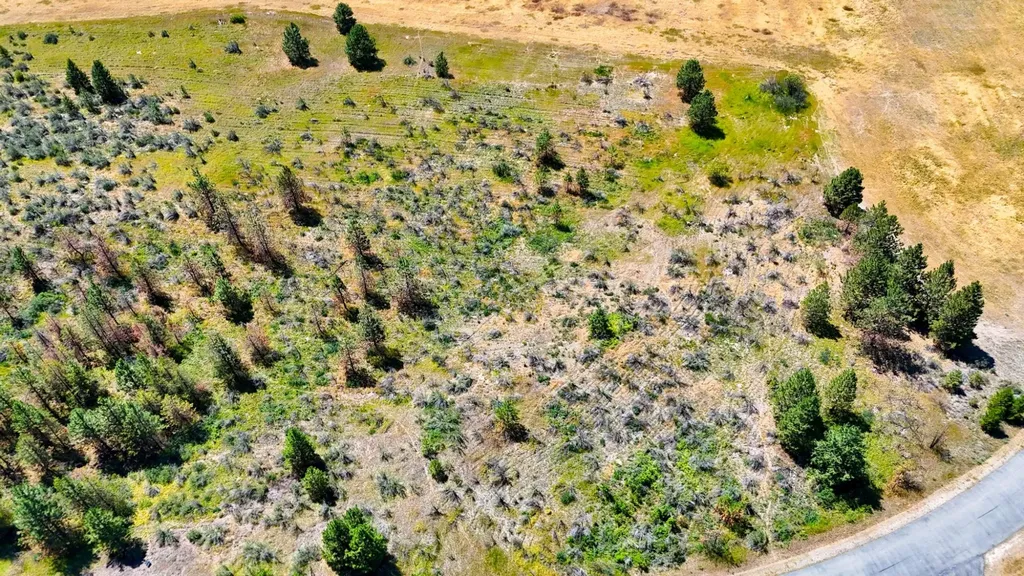 Lot 4 Harbine Ranch Road Plains MT 59859