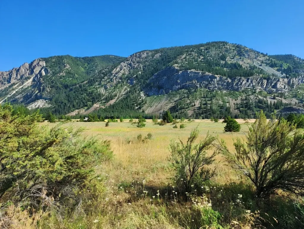 Lot 4 Harbine Ranch Road Plains MT 59859