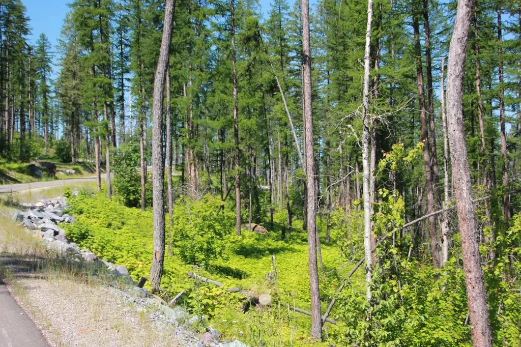 237 Timberjack Trail Bigfork MT 59911