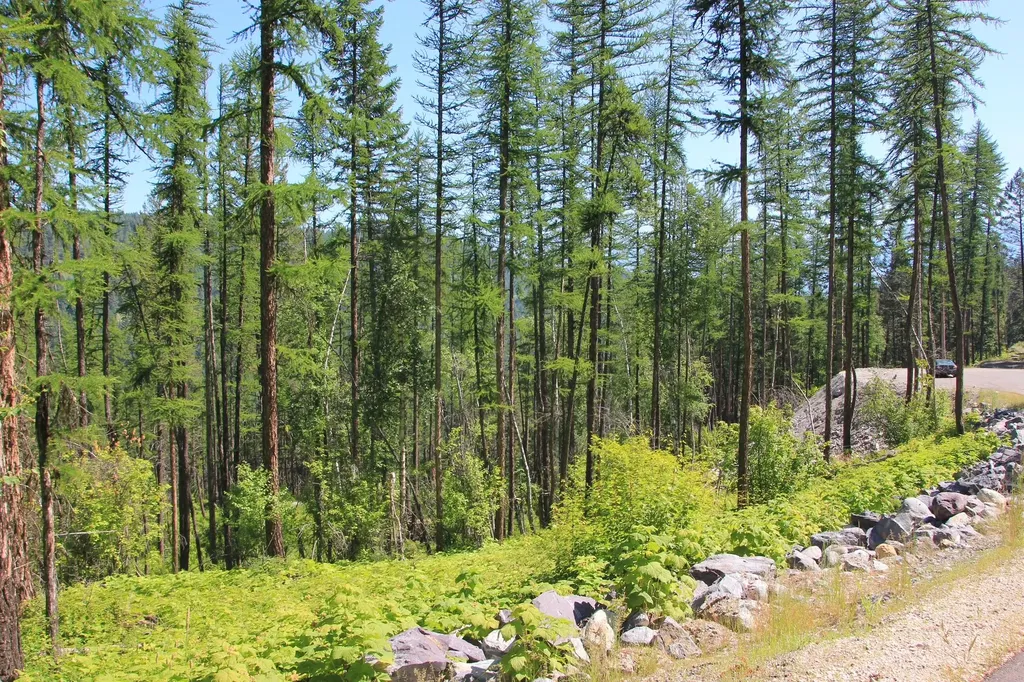237 Timberjack Trail Bigfork MT 59911