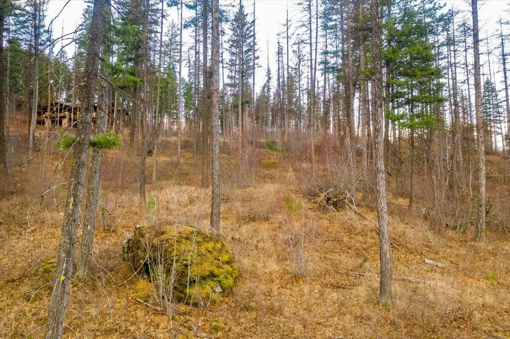237 Timberjack Trail Bigfork MT 59911