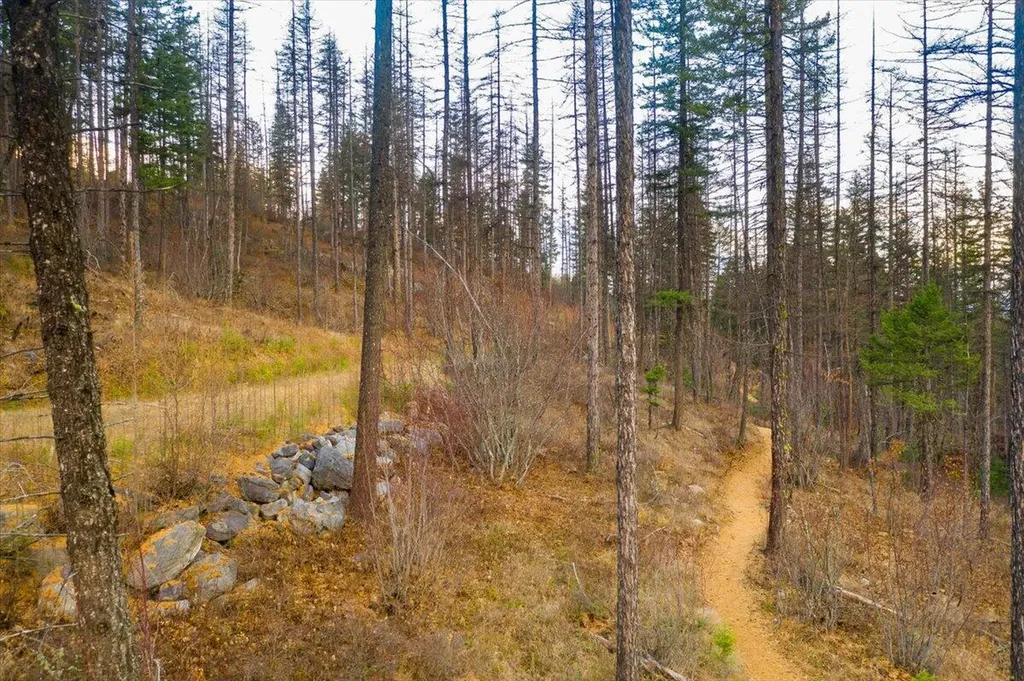 237 Timberjack Trail Bigfork MT 59911
