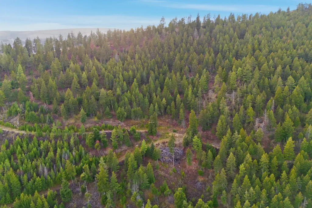 11327 Sleeman Lane Lolo MT 59847