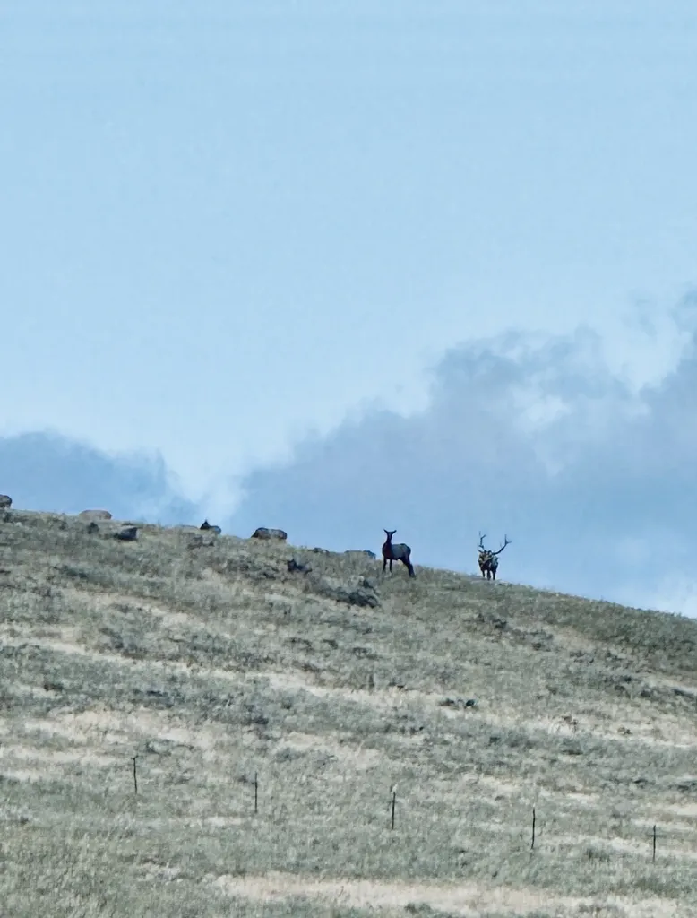 Tbd Fiddlers Green Road Clancy MT 59634