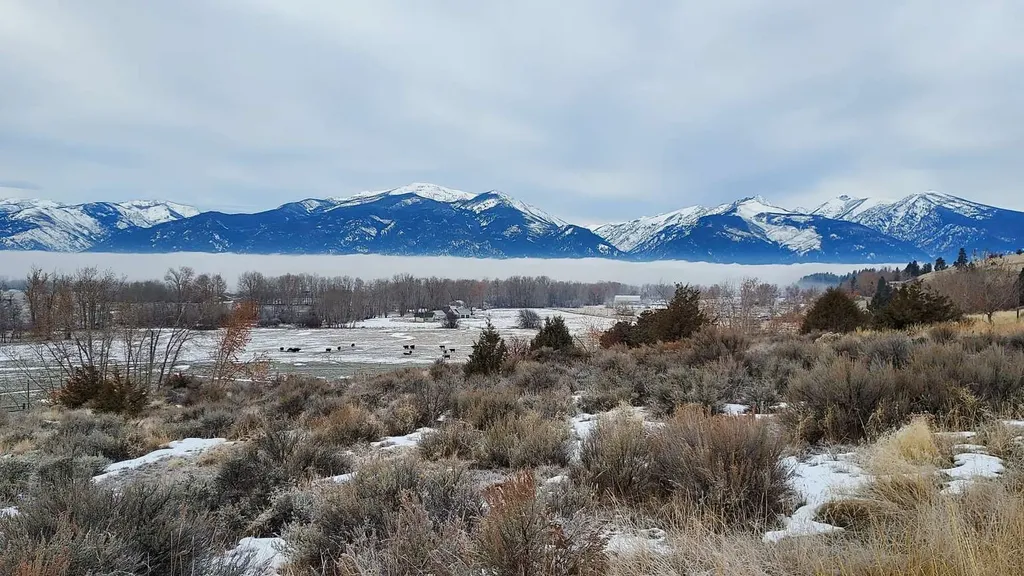1025 Iron Cap Drive Stevensville MT 59870