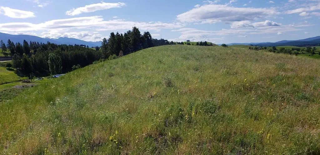 180 Grassy Loop Eureka MT 59917