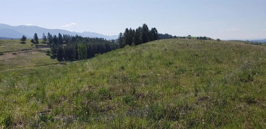 180 Grassy Loop Eureka MT 59917