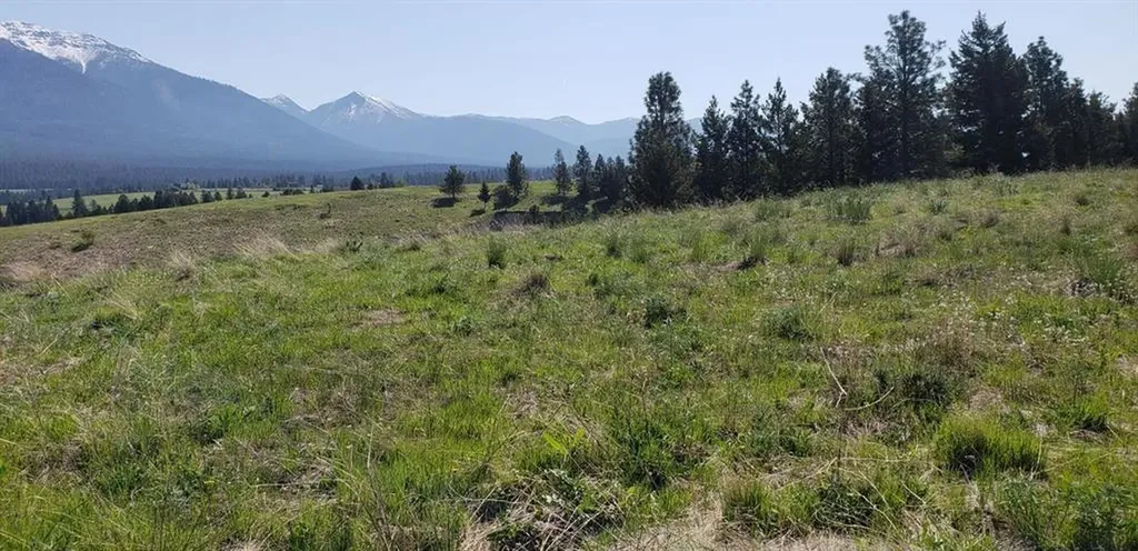 180 Grassy Loop Eureka MT 59917