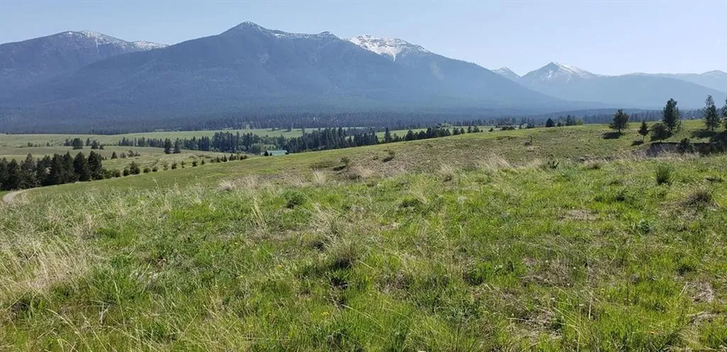 180 Grassy Loop Eureka MT 59917