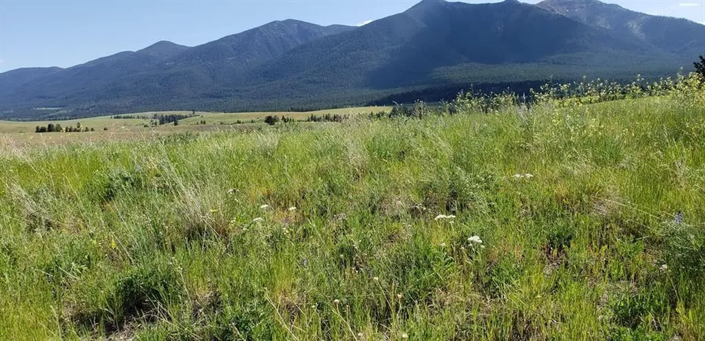 180 Grassy Loop Eureka MT 59917