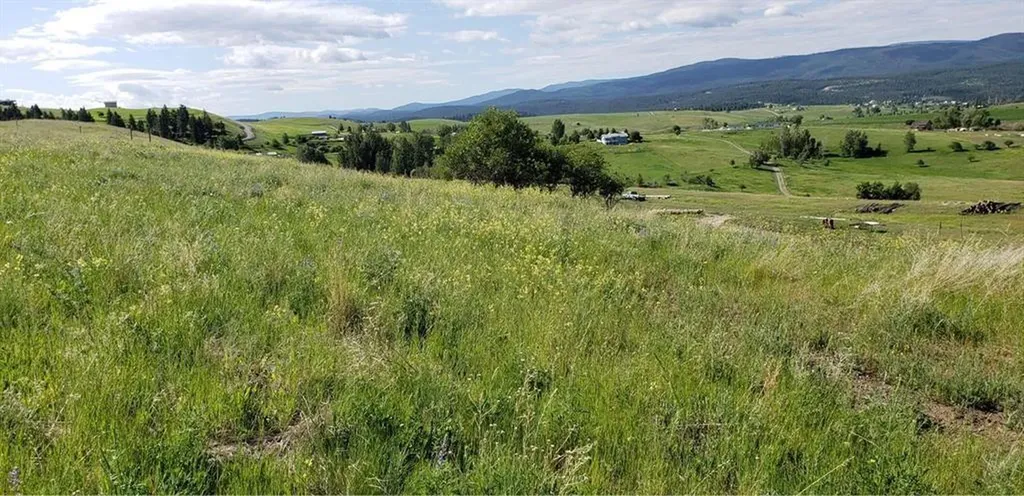 180 Grassy Loop Eureka MT 59917