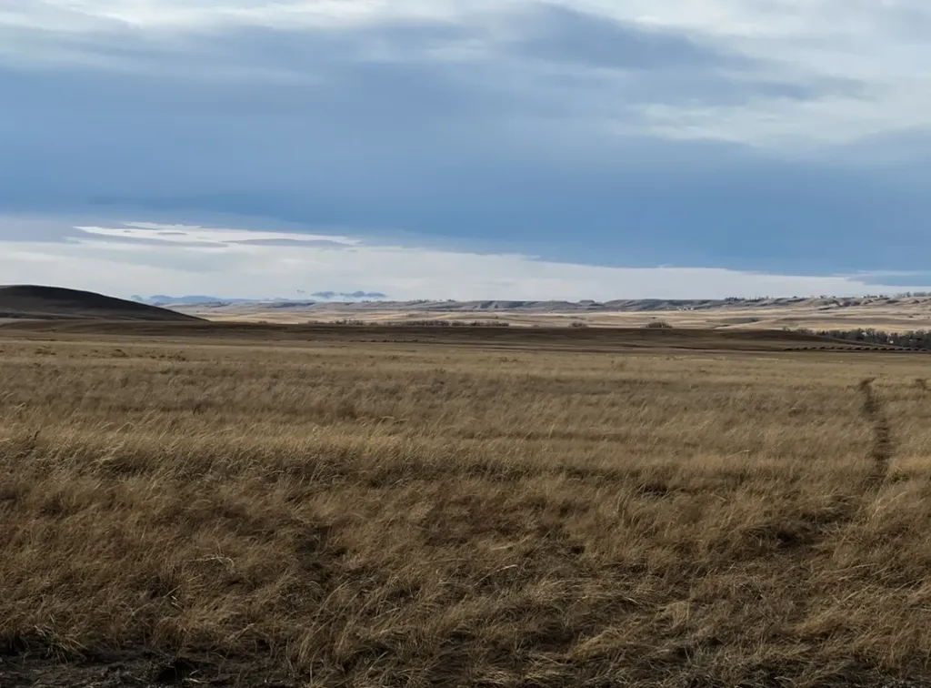 Tbd Four Mile Creek Road Great Falls MT 59404