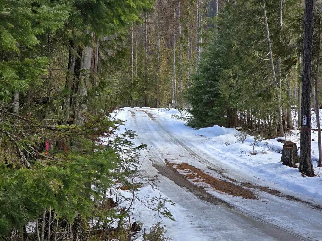 401 Western Larch Lane Yaak MT 59935