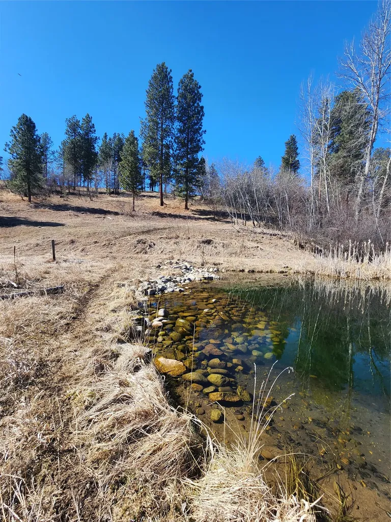 609 Solleder Lane Darby MT 59829