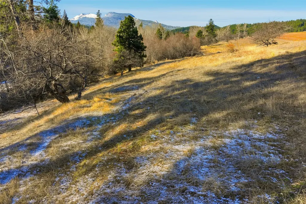 Nhn Bunkhouse Road Darby MT 59829