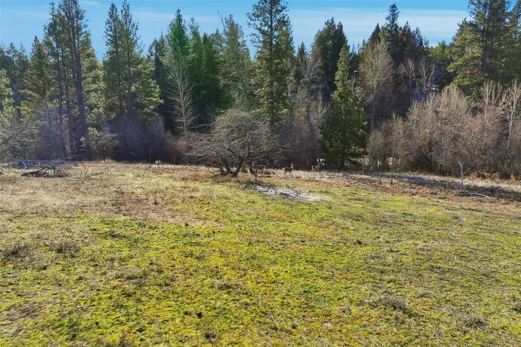 Nhn Bunkhouse Road Darby MT 59829