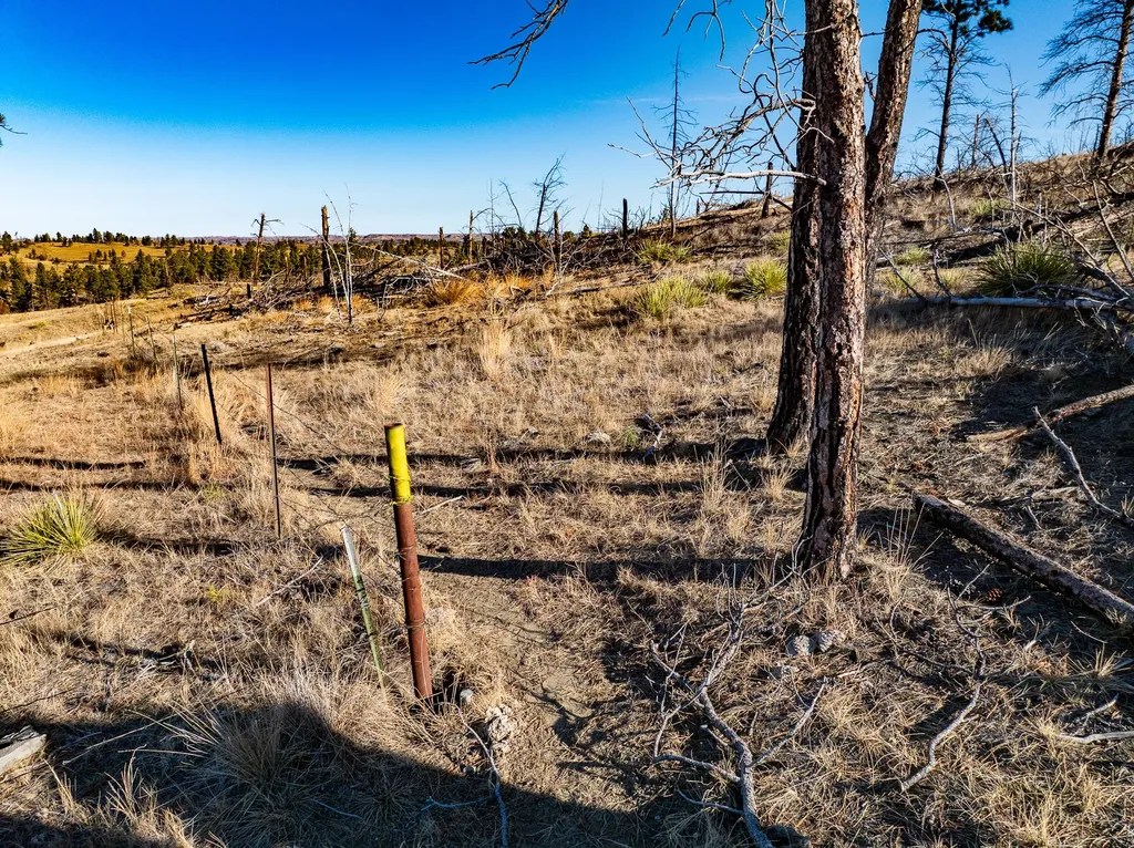 Tbd Smith Lane Mosby MT 59058
