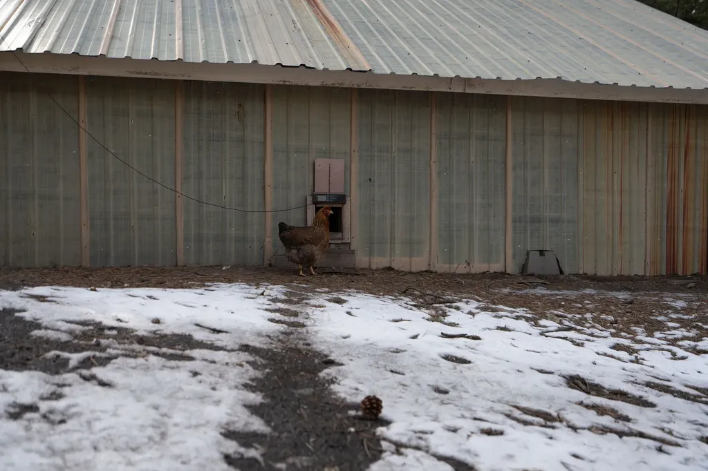 189 High Road Kalispell MT 59901