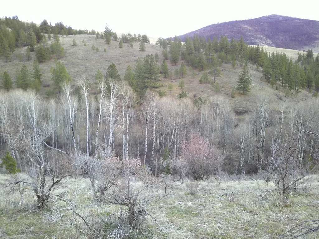 Nhn Browns Meadow Road Niarada MT 59845