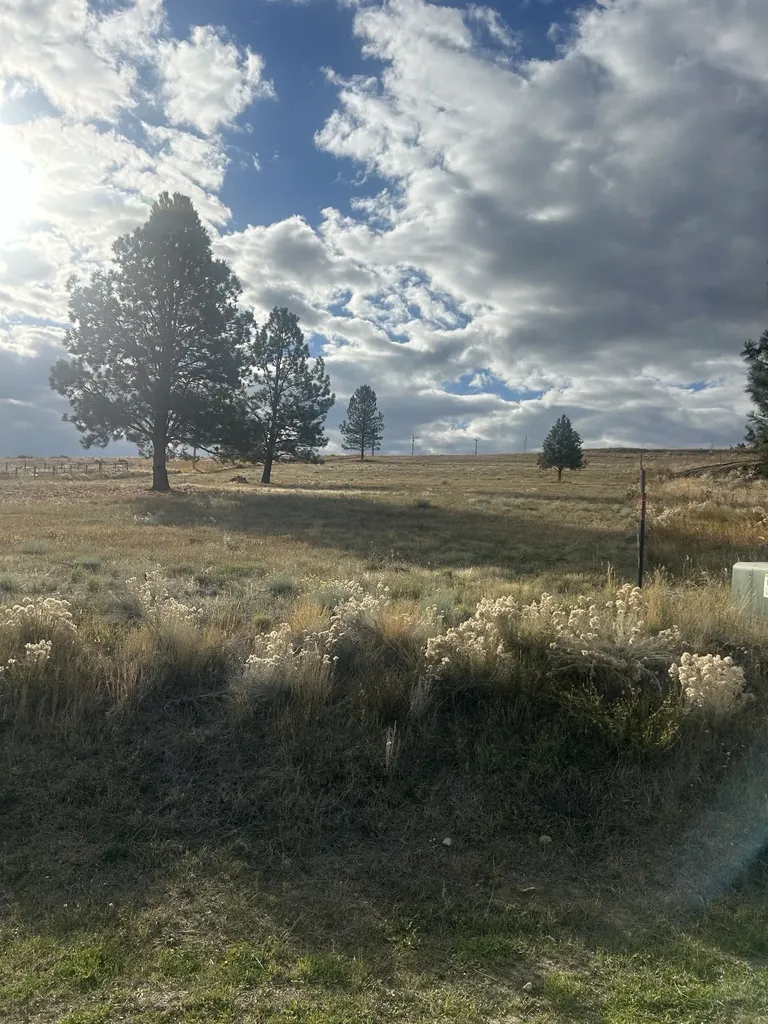 461 Arrow Hill Ranch Road Hamilton MT 59840