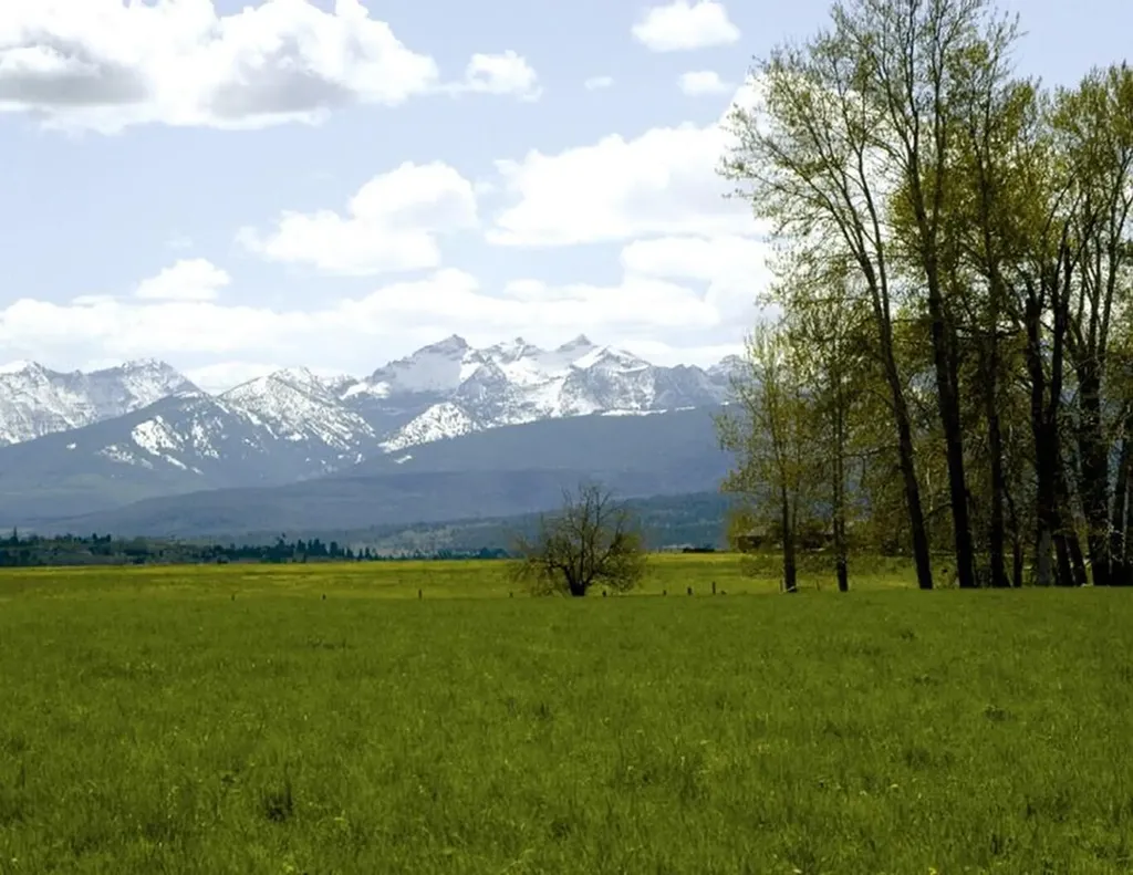 461 Arrow Hill Ranch Road Hamilton MT 59840